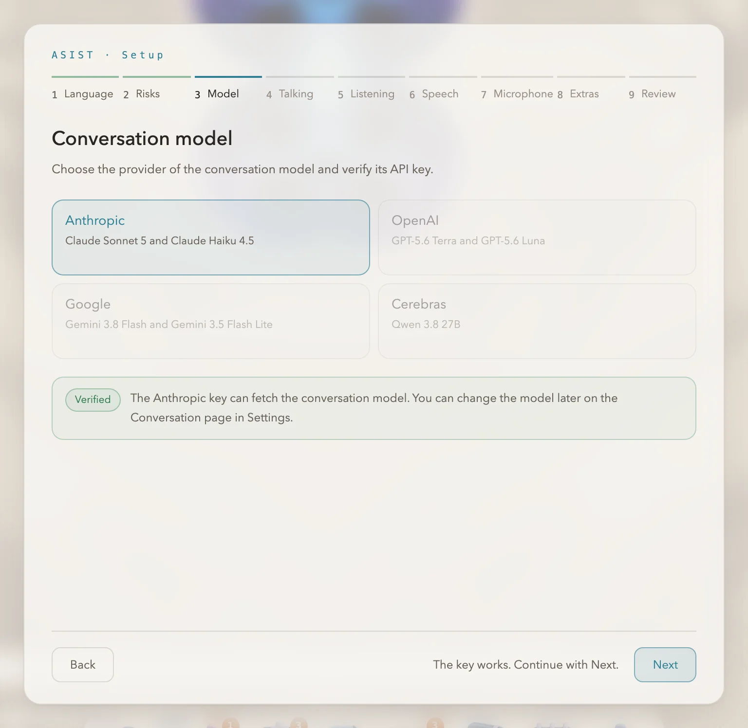 The screen after the API key was verified and saved