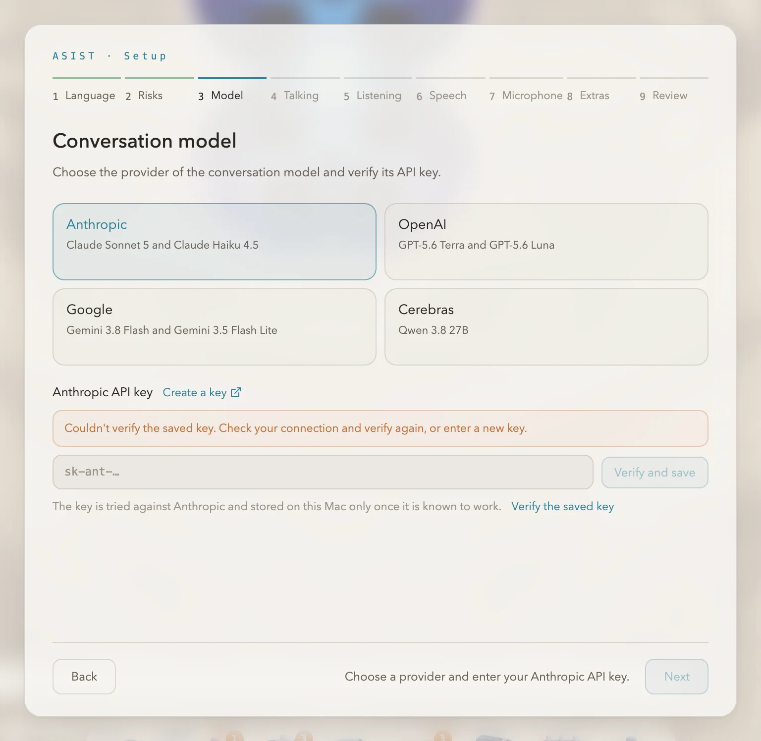 The setup screen when the API key couldn’t be checked