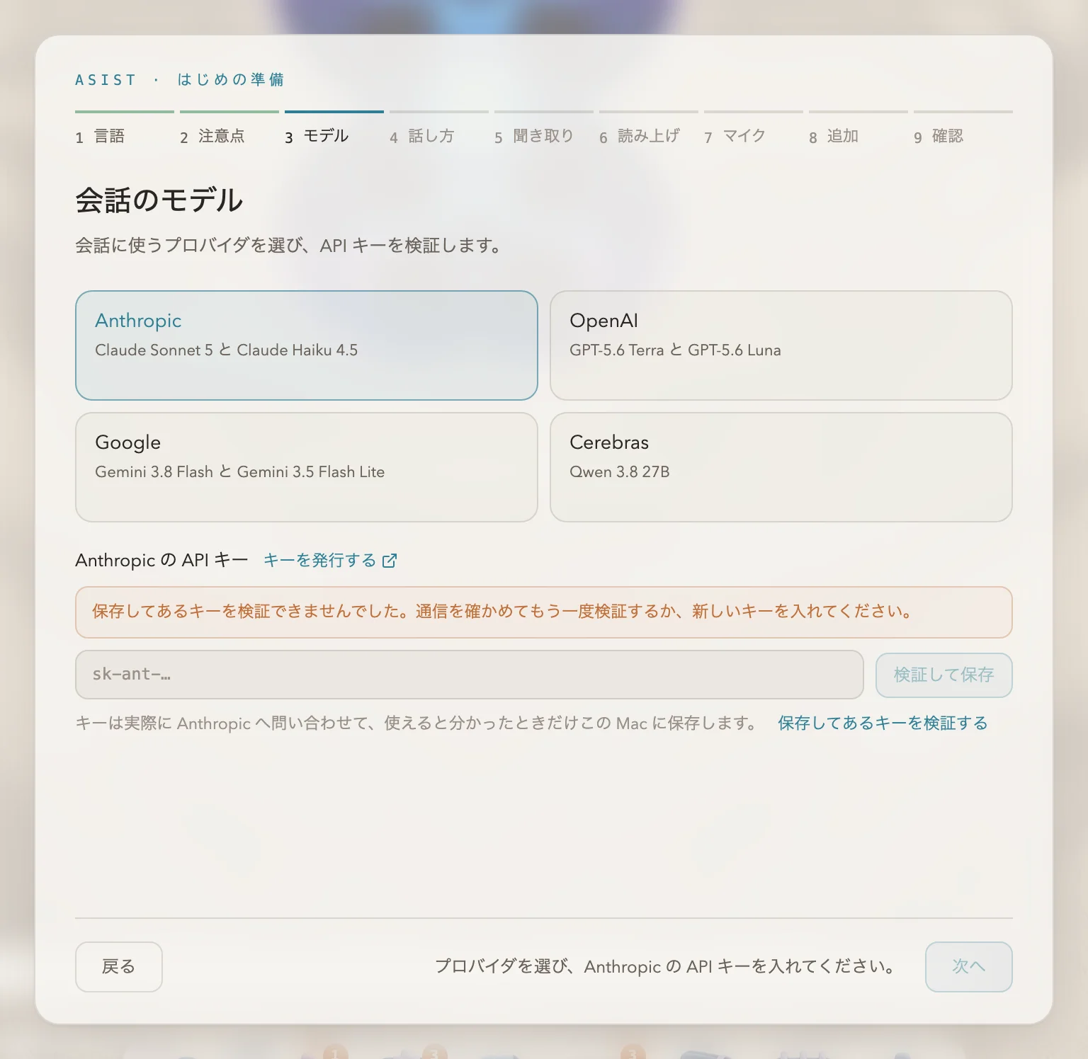 API キーを確かめられなかったときのセットアップの画面